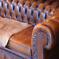 Leather Furniture Couchy